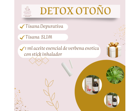 plan detox otoño